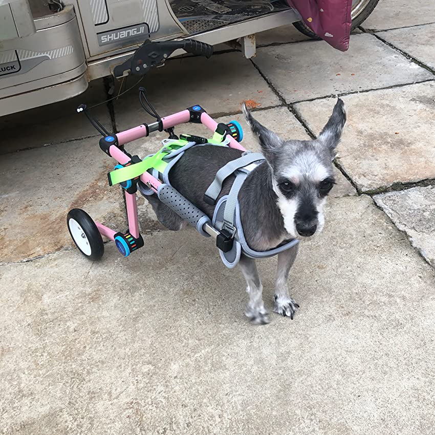 Fodable Rear Wheels for Small Dogs review 0
