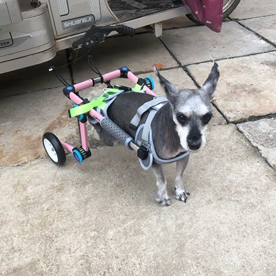 Fodable Rear Wheels for Small Dogs review 