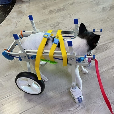 Lightweight Quad Wheelchair for Small Dogs review 