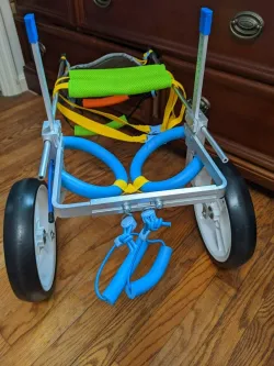 Medium / Large Dog Wheelchair for Back Legs review jan 01
