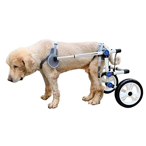 Fodable Large Dog Wheelchair for Back Legs review nditz