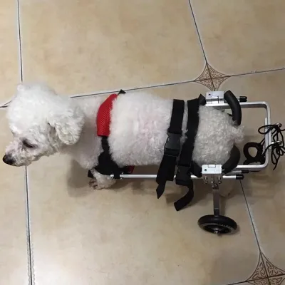 Small / Medium Dog Hind Leg Wheelchair review 