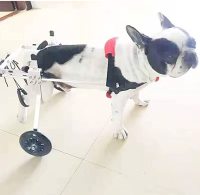Small / Medium Dog Hind Leg Wheelchair review 0