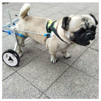 Small Dog Wheelchair for Hind Legs review 0