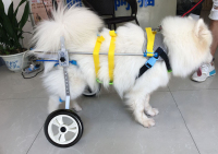 Medium / Large Dog Wheelchair for Back Legs review 0