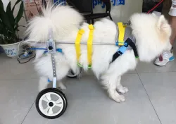 Medium / Large Dog Wheelchair for Back Legs review Alyssa 01