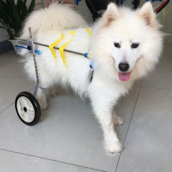 Medium / Large Dog Wheelchair for Back Legs review Alyssa 02
