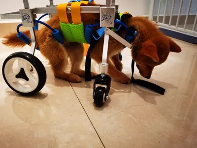 Lightweight Quad Wheelchair for Small Dogs review 