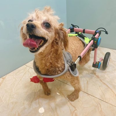 Fodable Rear Wheels for Small Dogs review