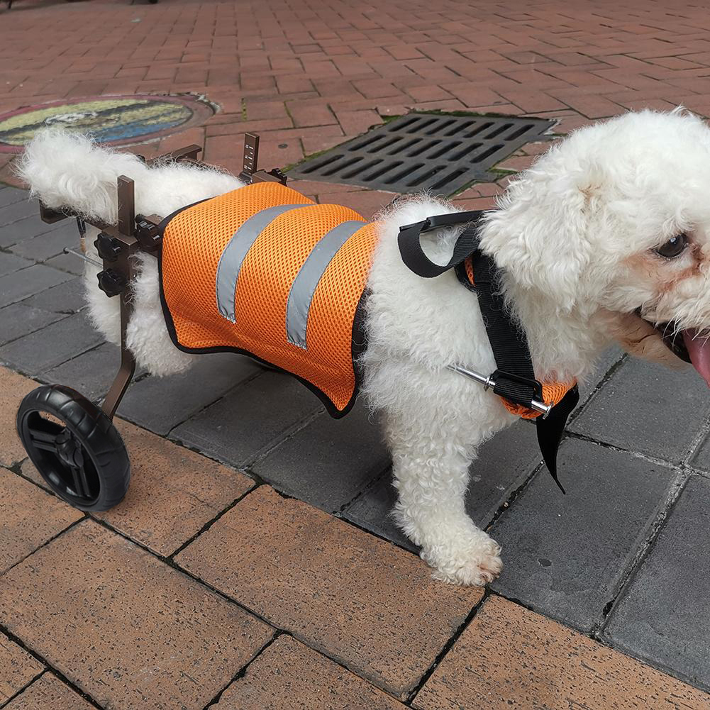 Small Dog Wheelchairs for Back Leg Support  review oldblue 02