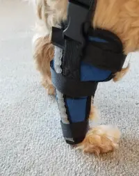 Hinged Dog Leg Brace review 1