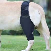 Dog Knee Brace For Torn Acl review 0
