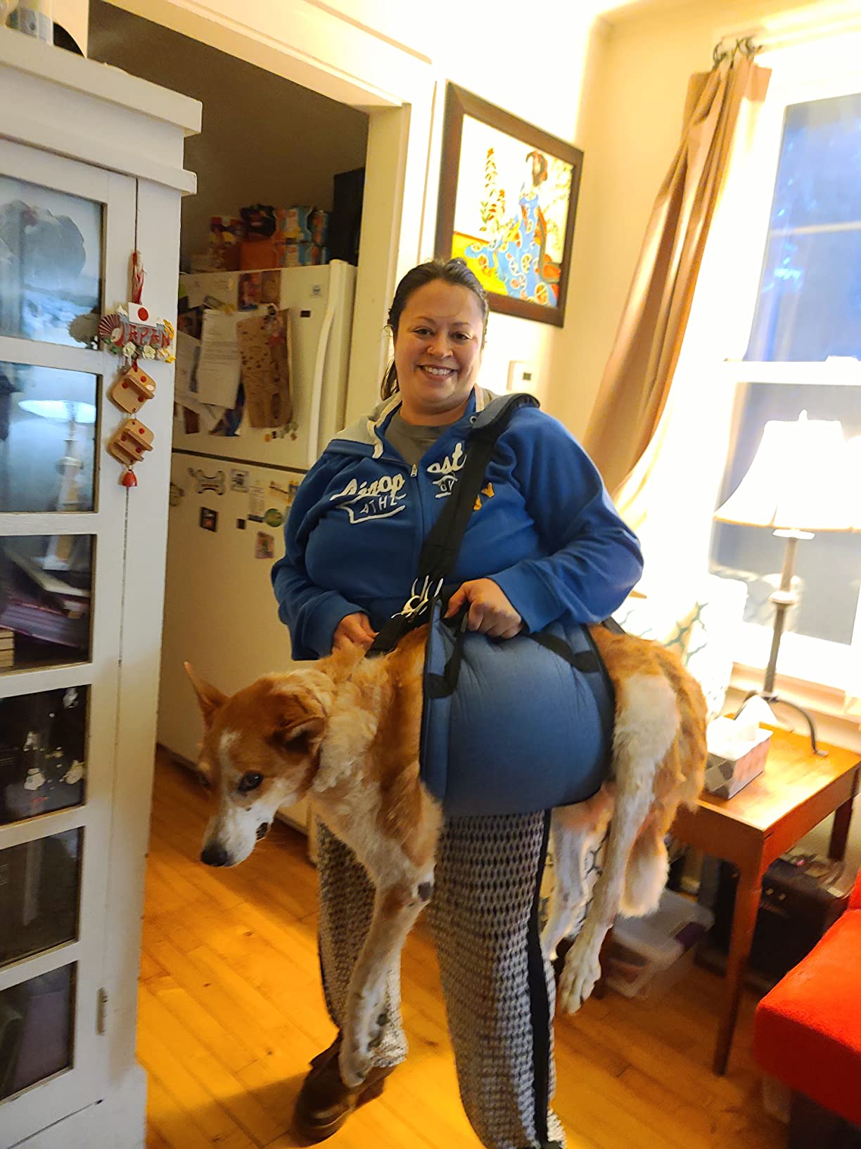  Belly Sling for Large Dogs review Kyle Moore