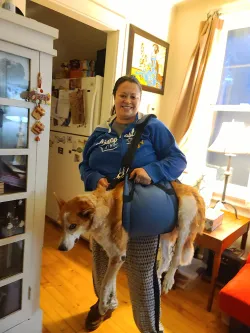  Belly Sling for Large Dogs review Kyle Moore