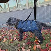 Dog Lift Harness Full Body Support review Briana Blondeel 01