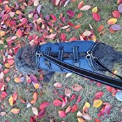 Dog Lift Harness Full Body Support review Briana Blondeel 02