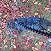 Dog Lift Harness Full Body Support review Briana Blondeel 02