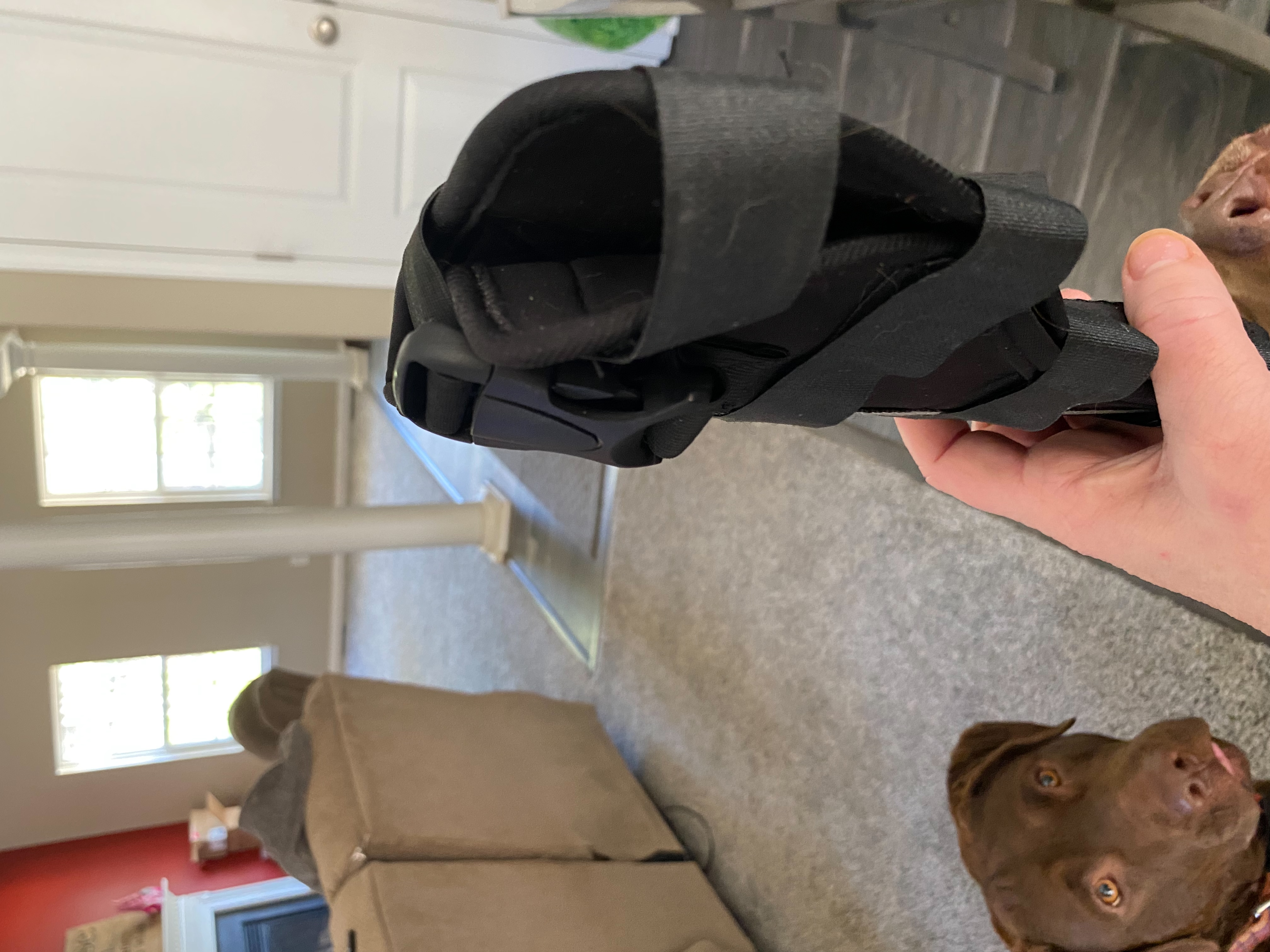 Hinged Dog Leg Brace review 0