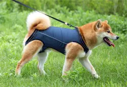 Dog Lift Harness Full Body Support review Heather P