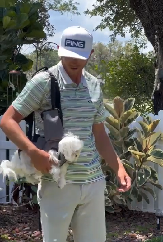 Oxford Full Body Lifting Harness for Dogs review hilton 01