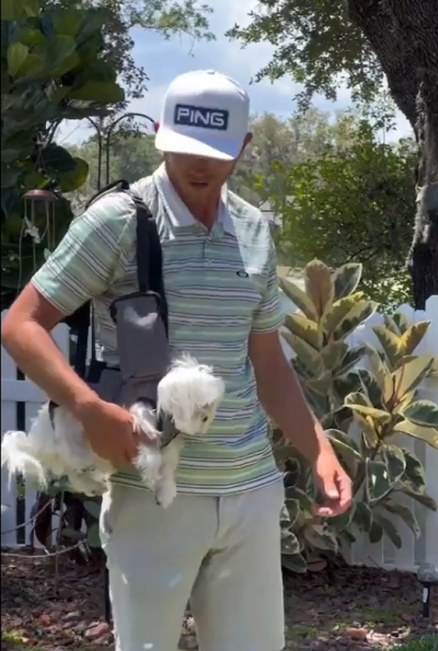 Oxford Full Body Lifting Harness for Dogs review 