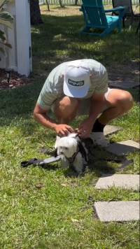 Oxford Full Body Lifting Harness for Dogs review 1