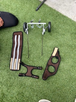 Small Rear Support Dog Wheelchair review CE