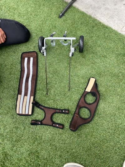 Small Rear Support Dog Wheelchair review 