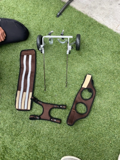 Small Rear Support Dog Wheelchair review 