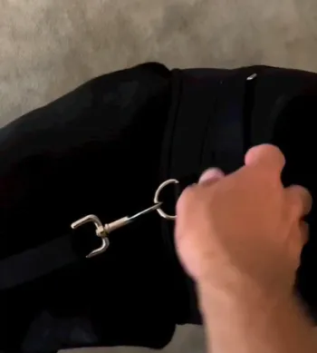 Dog Torn Acl Brace review Pibblemom 03