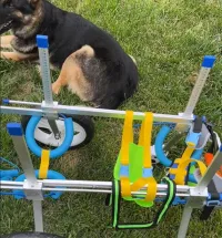 Small Dog Wheelchair for Hind Legs review 2