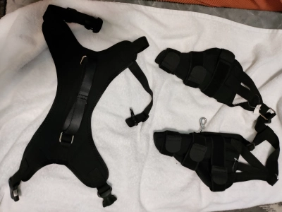 Dog Torn Acl Brace review 