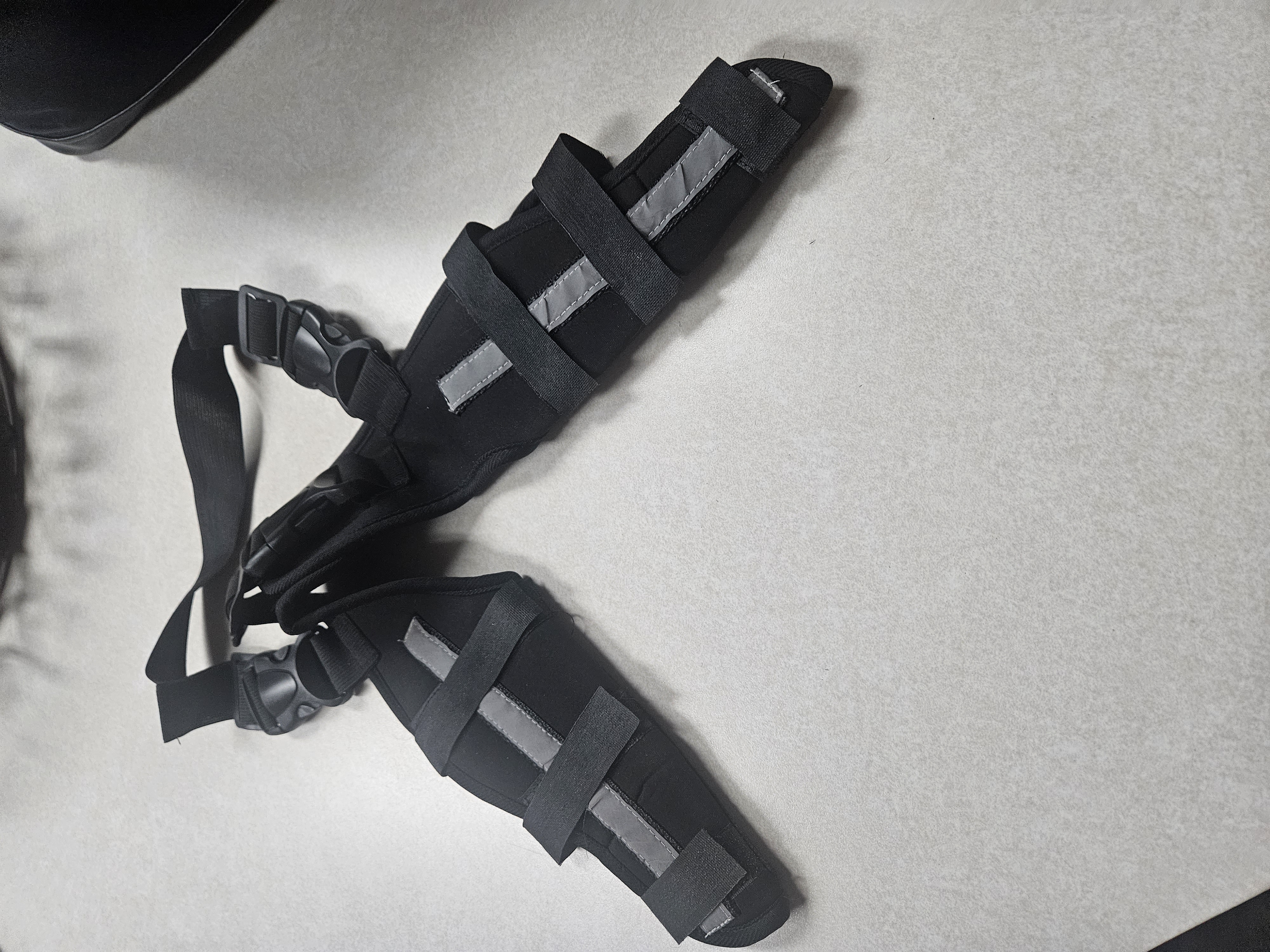 Hinged Dog Double Leg Brace review 0
