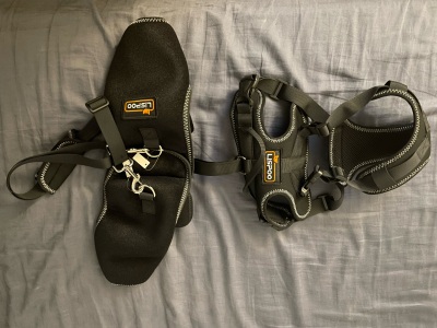 Dog Hip Support Brace for Dysplasia review 