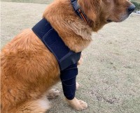 Dog Elbow Dysplasia Brace review 0