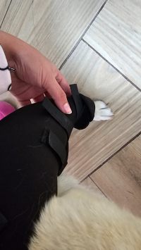 Dog Knee Support Brace review 0