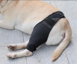 Dog Knee Brace For Torn Acl review Sonia