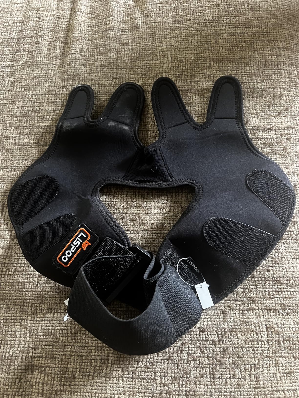 Dog Double Elbow & Shoulder Brace review 0