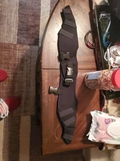 Dog Knee Support Brace review 