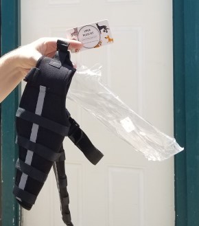 Hinged Dog Double Leg Brace review 