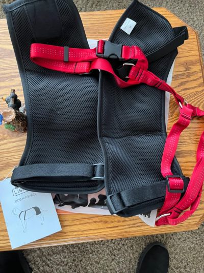 Dog Hip Dysplasia Brace review 