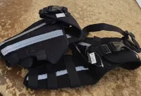 Hinged Dog Double Leg Brace review 0