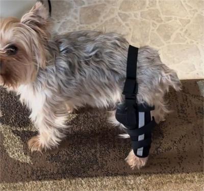 Hinged Dog Leg Brace review 