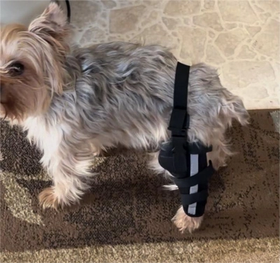Hinged Dog Leg Brace review 