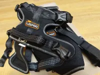 Dog Hip Support Brace for Dysplasia review 0