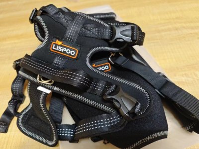 Dog Hip Support Brace for Dysplasia review