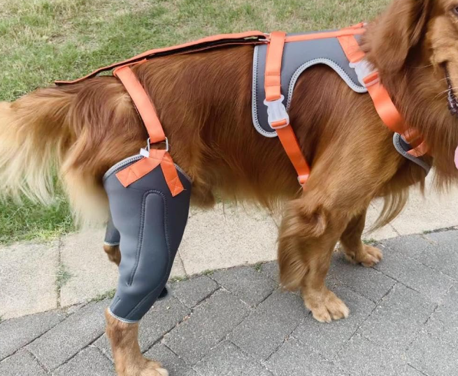 Dog Knee Brace with Metal Splint Hinge Support for ACL review Tyuio 02