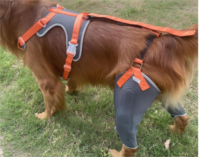 Dog Knee Brace with Metal Splint Hinge Support for ACL review Tyuio 01