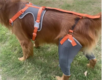 Dog Knee Brace with Metal Splint Hinge Support for ACL review 