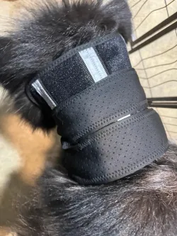 Dog Neck Brace for Dogs Neck Pain review Knausg 02